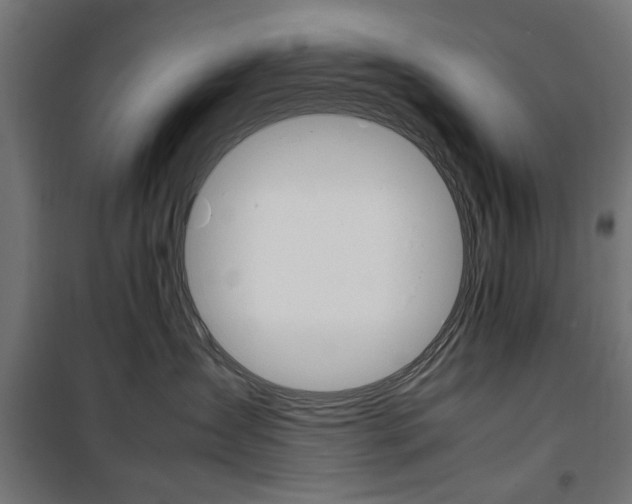 X0000100880431200806201151