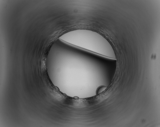 X0000100880432200806201151