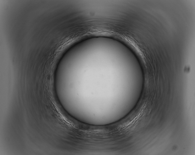 X0000100880433200806201150