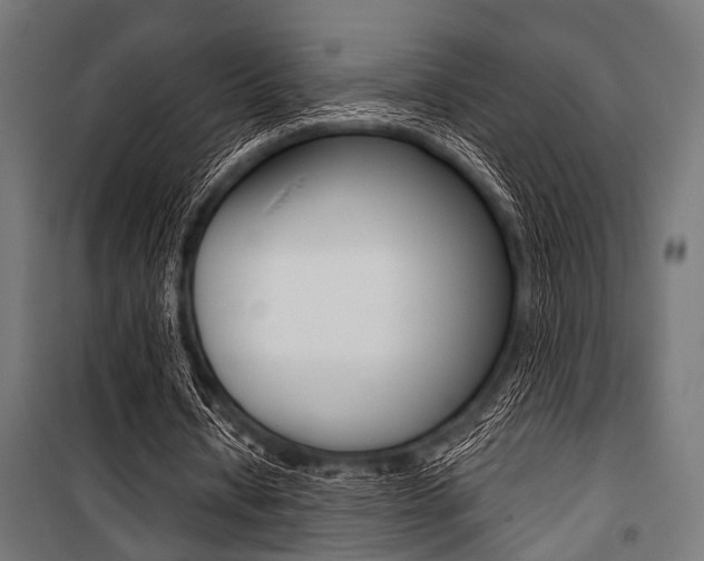 X0000100880434200806201150