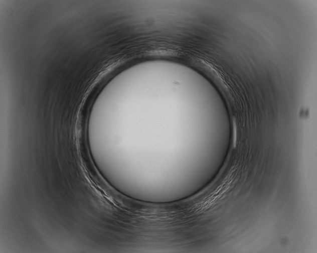 X0000100880435200806201150
