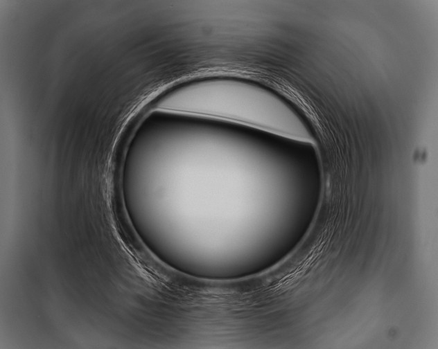 X0000100880436200806201150