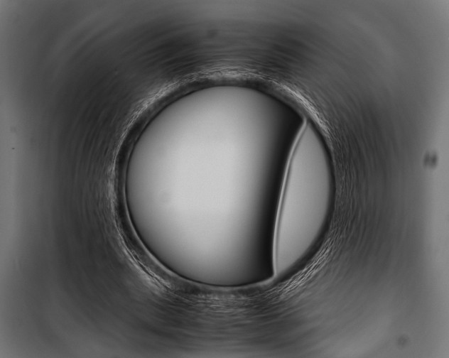 X0000100880439200806201150