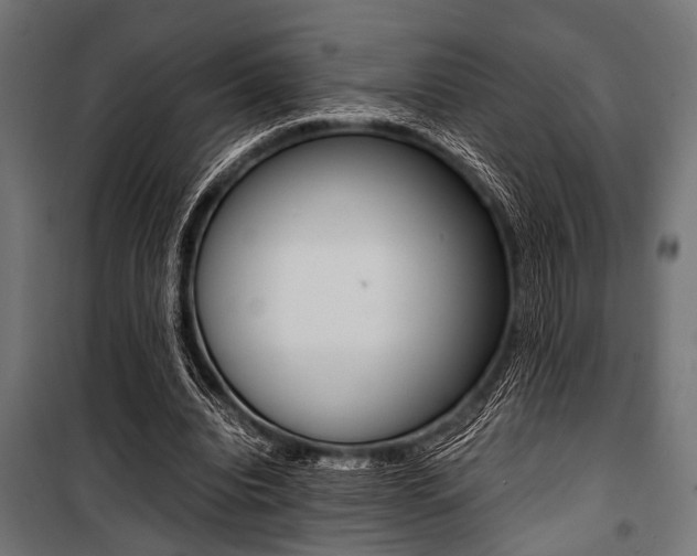 X0000100880440200806201151
