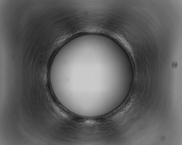 X0000100880441200806201151