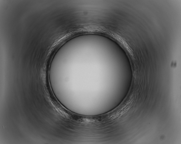 X0000100880442200806201151