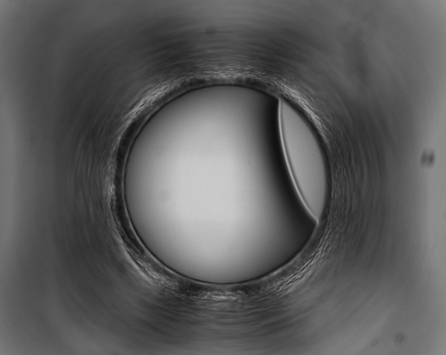 X0000100880443200806201151