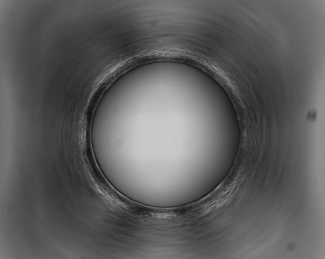 X0000100880446200806201151