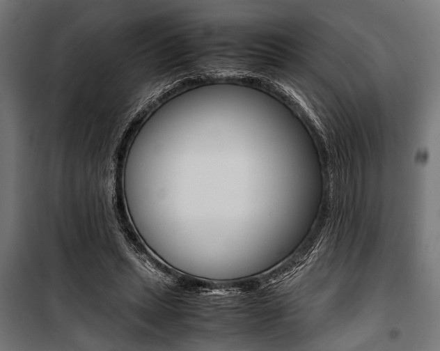 X0000100880447200806201151