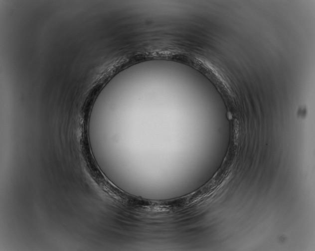 X0000100880451200806201151