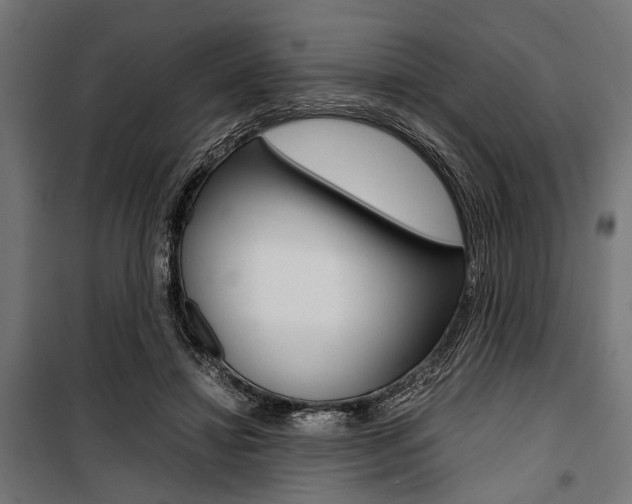 X0000100880452200806201151