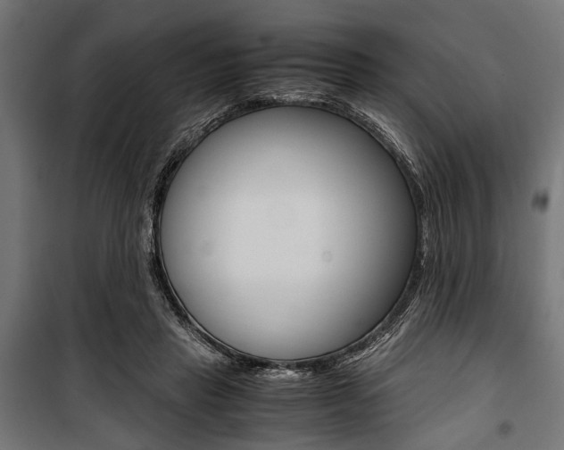 X0000100880453200806201151