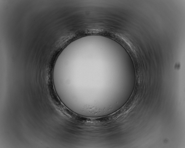 X0000100880455200806201151