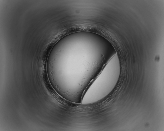X0000100880456200806201151