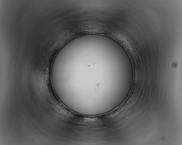 X0000100880457200806201151