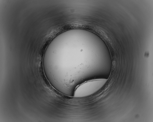 X0000100880458200806201151