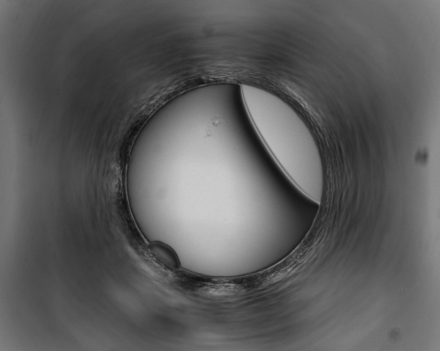 X0000100880459200806201151