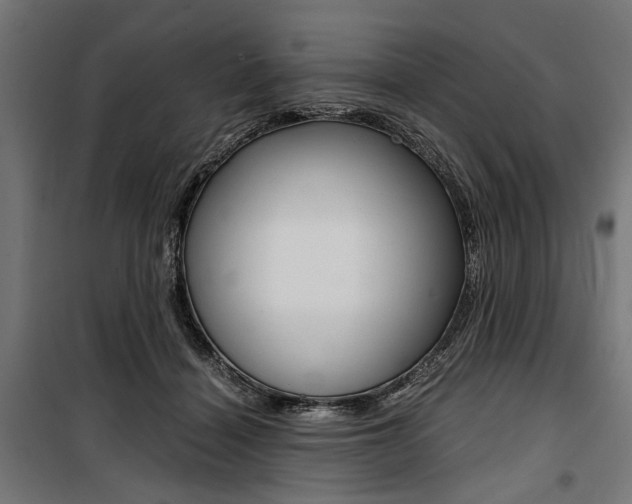 X0000100880460200806201151
