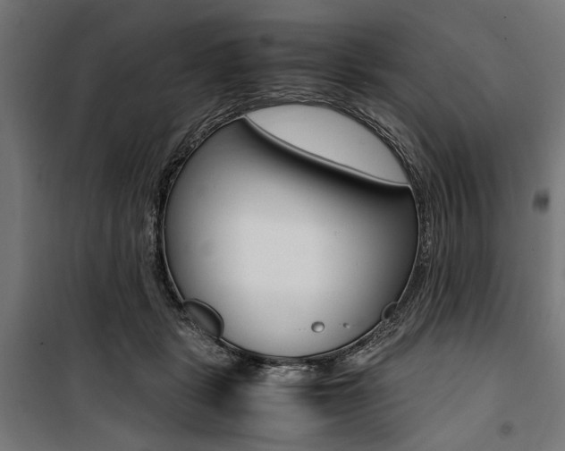 X0000100880461200806201151