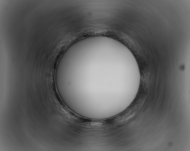 X0000100880462200806201151