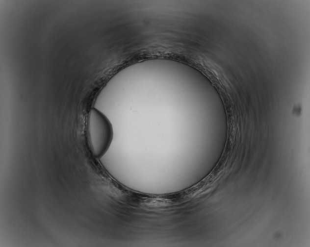 X0000100880463200806201151