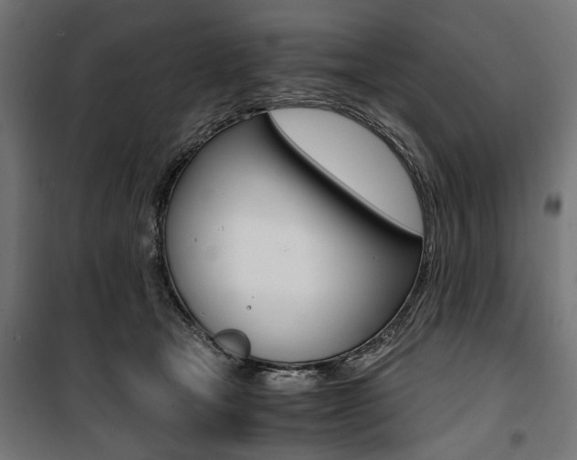 X0000100880465200806201151