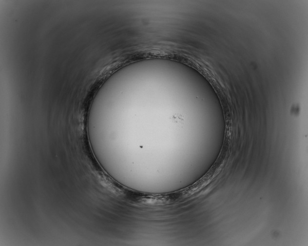 X0000100880466200806201151