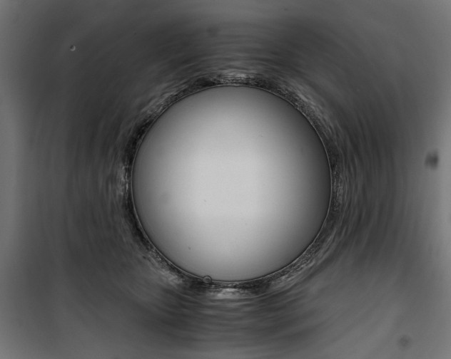 X0000100880467200806201151