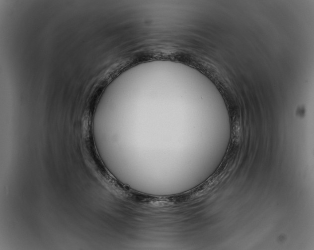 X0000100880468200806201151