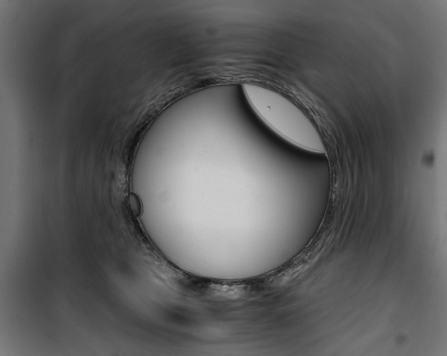 X0000100880469200806201151