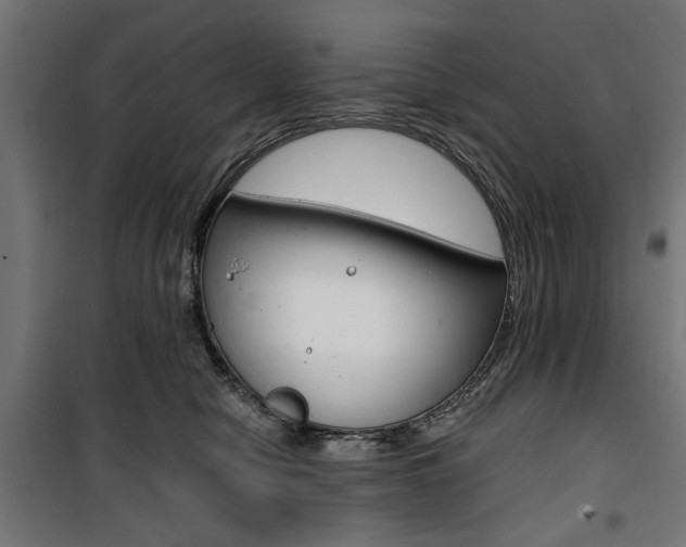 X0000100880470200806201151