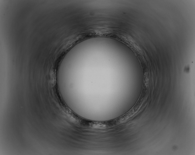X0000100880471200806201151
