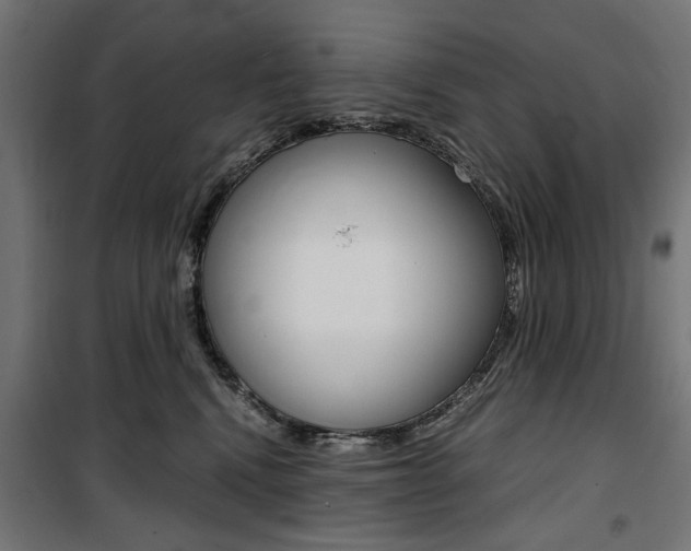X0000100880472200806201151
