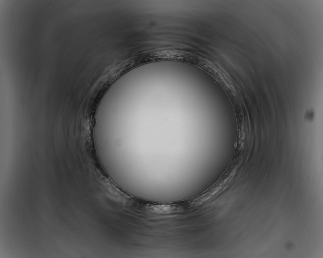 X0000100880473200806201151