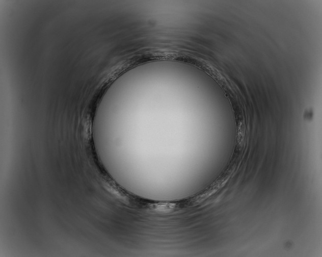 X0000100880474200806201151