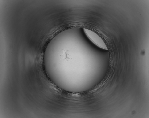X0000100880475200806201151
