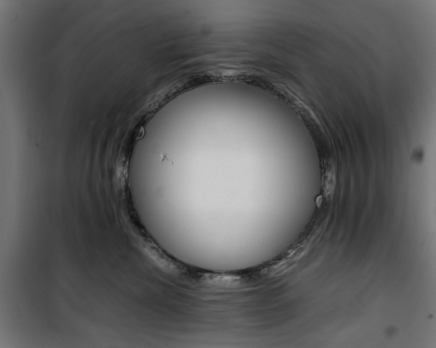 X0000100880476200806201151
