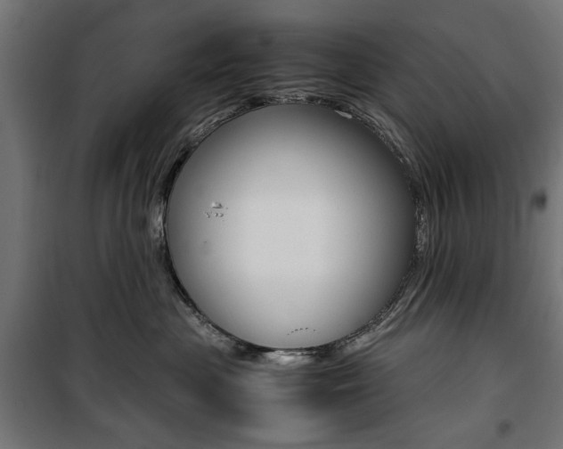 X0000100880477200806201151