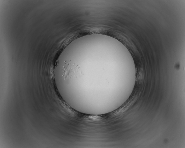 X0000100880478200806201151