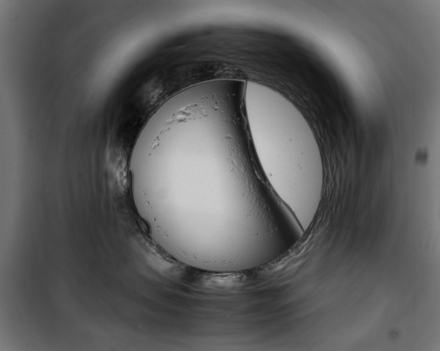 X0000100880479200806201151