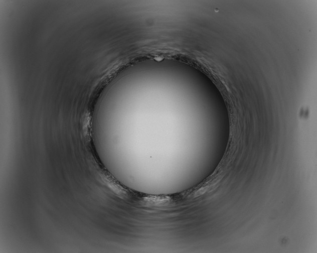 X0000100880480200806201151