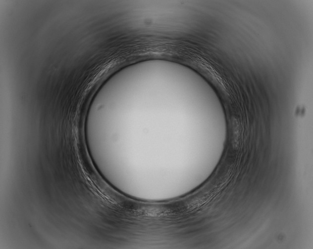X0000100880482200806201150