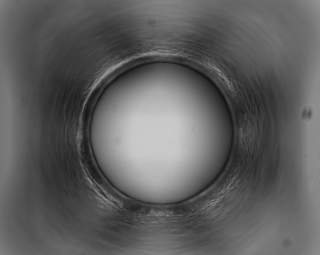 X0000100880484200806201150