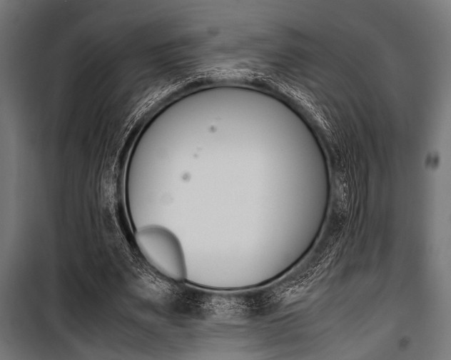 X0000100880487200806201150