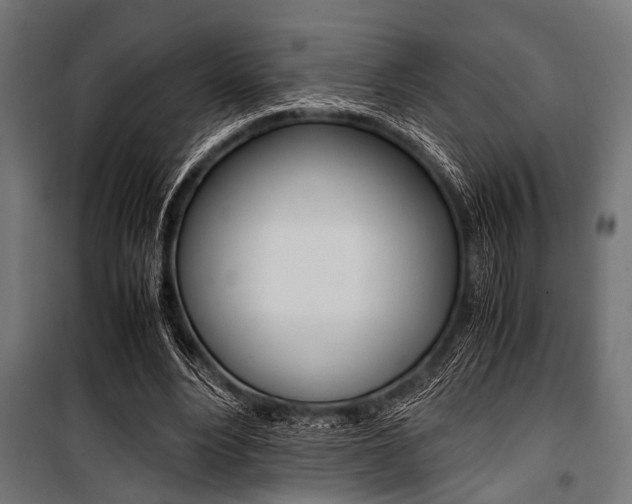 X0000100880488200806201150
