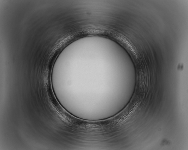 X0000100880490200806201150