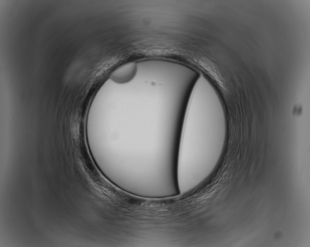 X0000100880491200806201150