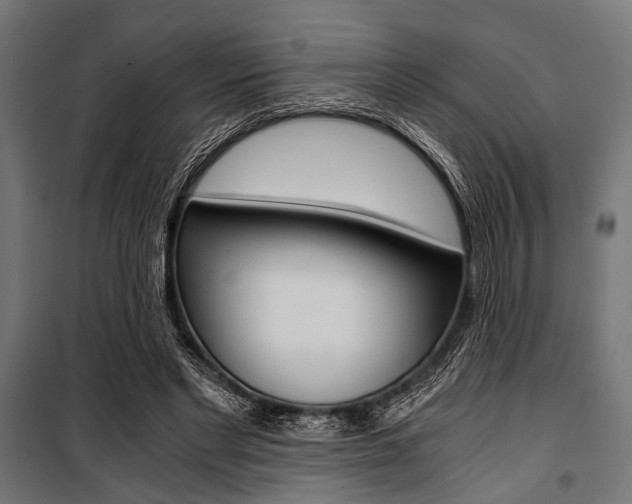 X0000100880493200806201150
