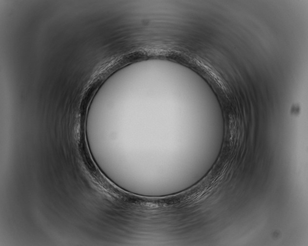 X0000100880494200806201150