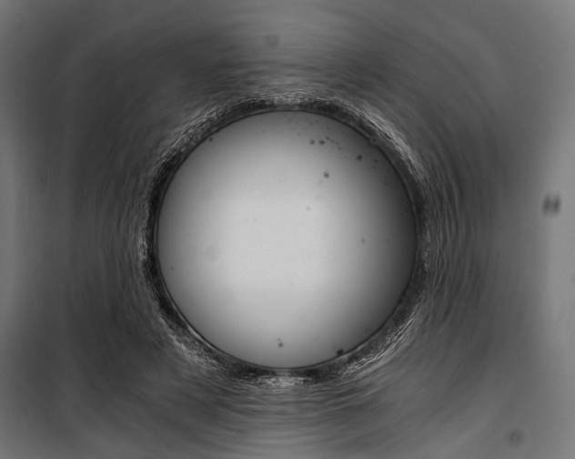 X0000100880497200806201150